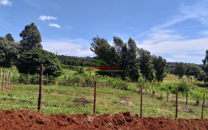Malaa Green Gardens
